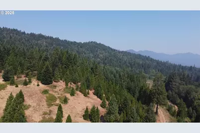 911 Tunnel Rd, Glendale, OR 97442 - Photo 19