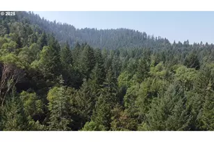 911 Tunnel Rd, Glendale, OR 97442 - Photo 31