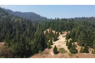 911 Tunnel Rd, Glendale, OR 97442 - Photo 11