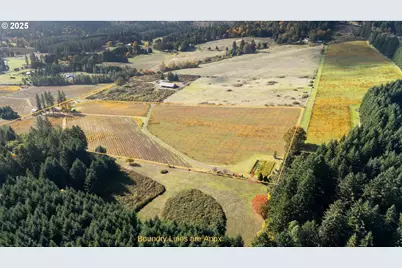 25219 High Pass Rd, Junction City, OR 97448 - Photo 3