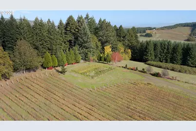 25219 High Pass Rd, Junction City, OR 97448 - Photo 11