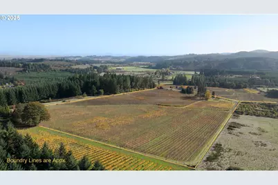 25219 High Pass Rd, Junction City, OR 97448 - Photo 19