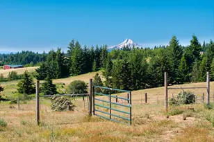 19 Kida Rd, White Salmon, WA 98672 - Photo 3