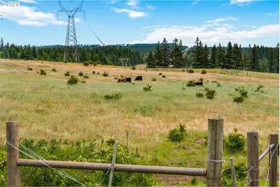 19 Kida Rd, White Salmon, WA 98672 - Photo 41