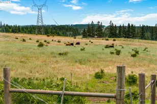 19 Kida Rd, White Salmon, WA 98672 - Photo 41