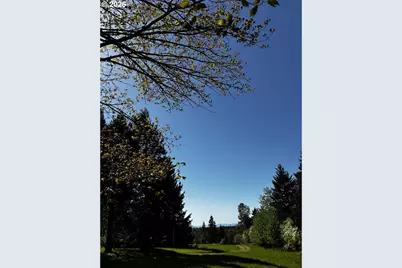 38520/38524 Highway 226, Scio, OR 97374 - Photo 9