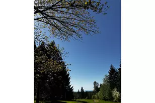 38520/38524 Hwy 226, Scio, OR 97374 - Photo 9