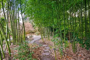 13635 SW Hall Blvd, Portland, OR 97223 - Photo 27