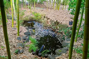 13635 SW Hall Blvd, Portland, OR 97223 - Photo 7