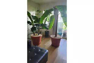 129 N Hayden Bay Dr, Portland, OR 97217 - Photo 17