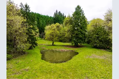75846 Booth Kelly Camp Rd, Dorena, OR 97434 - Photo 31