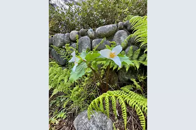 31640 Spruce Dr, Gold Beach, OR 97444 - Photo 43