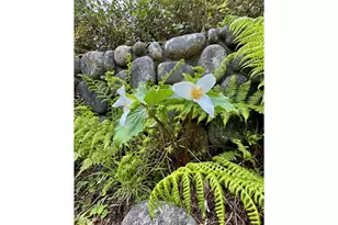 31640 Spruce Dr, Gold Beach, OR 97444 - Photo 43