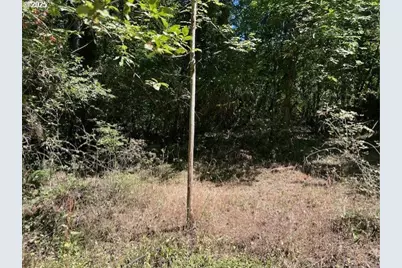 47980 NW Waldheim Way, Forest Grove, OR 97116 - Photo 37