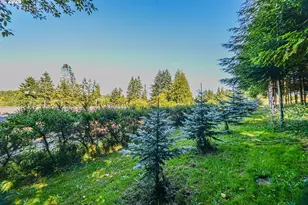 27340 Parkdale Rd, Rainier, OR 97048 - Photo 41
