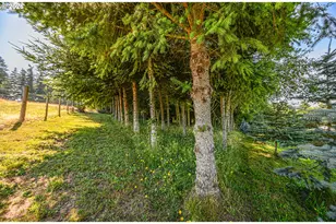 27340 Parkdale Rd, Rainier, OR 97048 - Photo 43