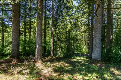 27546 Clark Rd, Deer Island, OR 97054 - Photo 9