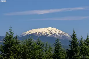 27546 Clark Rd, Deer Island, OR 97054 - Photo 11