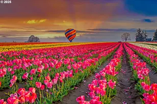 728 Merriott Ln, Woodburn, OR 97071 - Photo 35