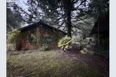 41574 Swinging Bridge Ln, Port Orford, OR 97465 - Photo 13