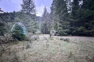 41574 Swinging Bridge Ln, Port Orford, OR 97465 - Photo 15