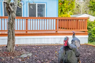 114 Marino Dr, Coos Bay, OR 97420 - Photo 37