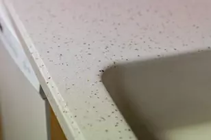 4928 NE 145th Ave, Vancouver, WA 98682 - Photo 7