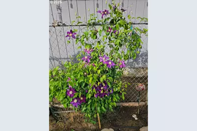 460 Meadow Ln, Creswell, OR 97426 - Photo 37