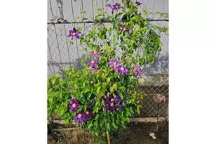 460 Meadow Ln, Creswell, OR 97426 - Photo 37