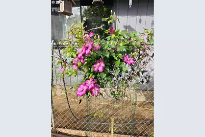 460 Meadow Ln, Creswell, OR 97426 - Photo 39