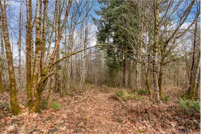 40405 NW Maple Ridge Rd, Woodland, WA 98674 - Photo 41