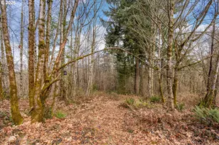 40405 NW Maple Ridge Rd, Woodland, WA 98674 - Photo 41