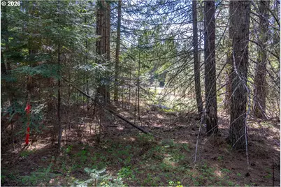 Fisher Hill, Appleton, WA 98602 - Photo 17