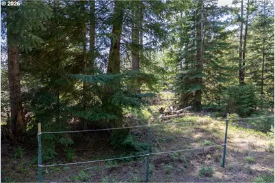Fisher Hill, Appleton, WA 98602 - Photo 19