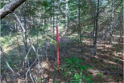 Fisher Hill, Appleton, WA 98602 - Photo 15
