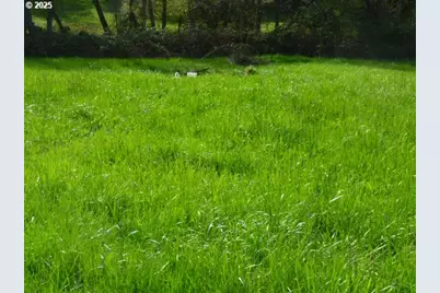 765 Tunnel Rd, Glendale, OR 97442 - Photo 9