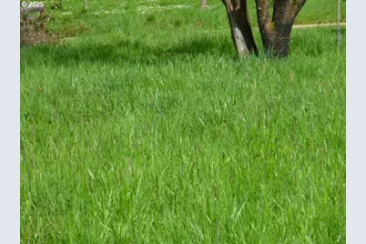 765 Tunnel Rd, Glendale, OR 97442 - Photo 7