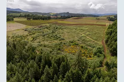 1066 Red Hill Rd, Oakland, OR 97462 - Photo 31