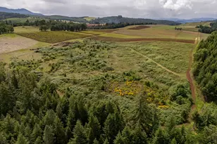 1066 Red Hill Rd, Oakland, OR 97462 - Photo 31