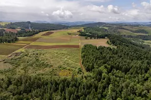 1066 Red Hill Rd, Oakland, OR 97462 - Photo 29