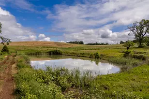 1066 Red Hill Rd, Oakland, OR 97462 - Photo 37