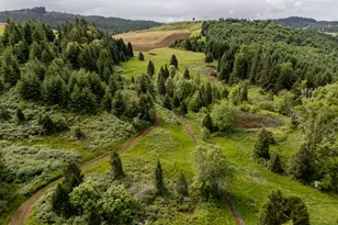 1066 Red Hill Rd, Oakland, OR 97462 - Photo 23