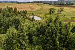 1066 Red Hill Rd, Oakland, OR 97462 - Photo 35