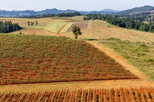 1066 Red Hill Rd, Oakland, OR 97462 - Photo 9