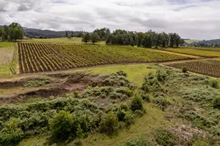 1066 Red Hill Rd, Oakland, OR 97462 - Photo 33