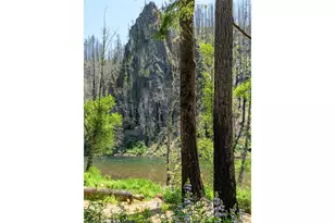 49348 McKenzie Hwy, Vida, OR 97488 - Photo 29