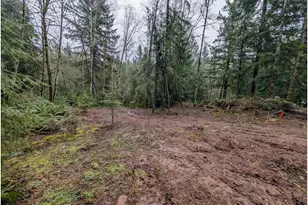 000 NE Berry Rd, Battle Ground, WA 98604 - Photo 1