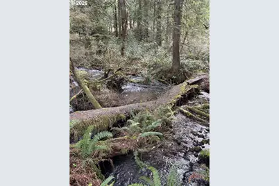 23660 SE Firwood Rd, Sandy, OR 97055 - Photo 9