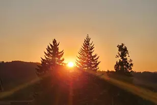 805 Queens Ave, Creswell, OR 97426 - Photo 45