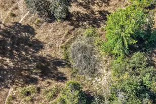 2925 Cleveland Hill Rd, Roseburg, OR 97471 - Photo 25